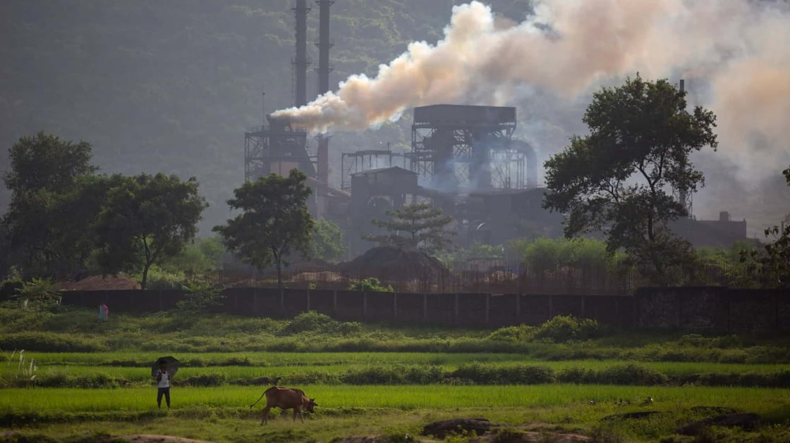 Olson - Sustainable trades balancing act