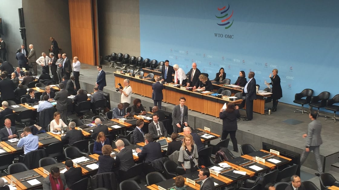 Rockwell-Fixing-the-WTO-cropped