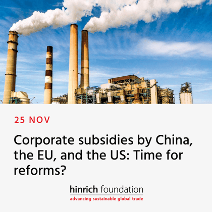 Subsidies webinar